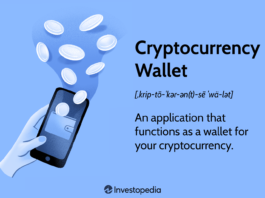 Crypto Wallets: Types and Applications